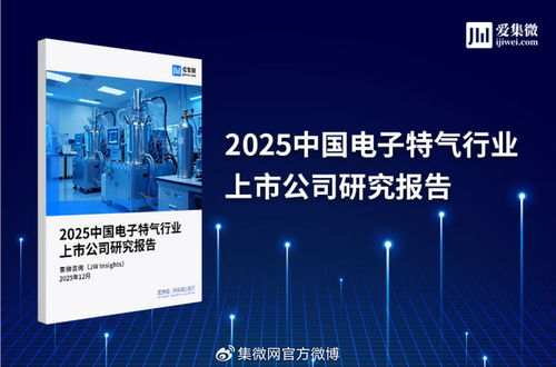 2025中國電子特氣行業上市公司研究報告 技術開發及技術咨詢領域深度剖析